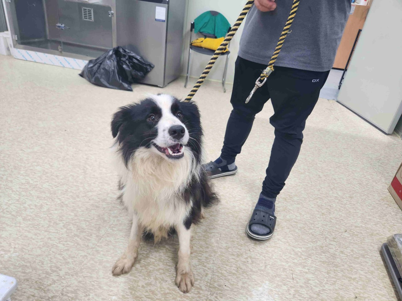 남양주시동물보호센터_441399202301739